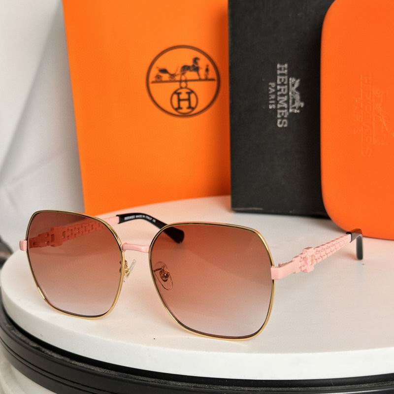Hermes 太阳镜 0331