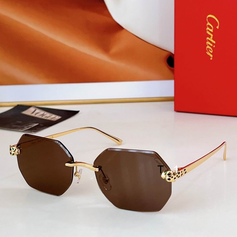 Cartier CT0493S 60 16-140 a