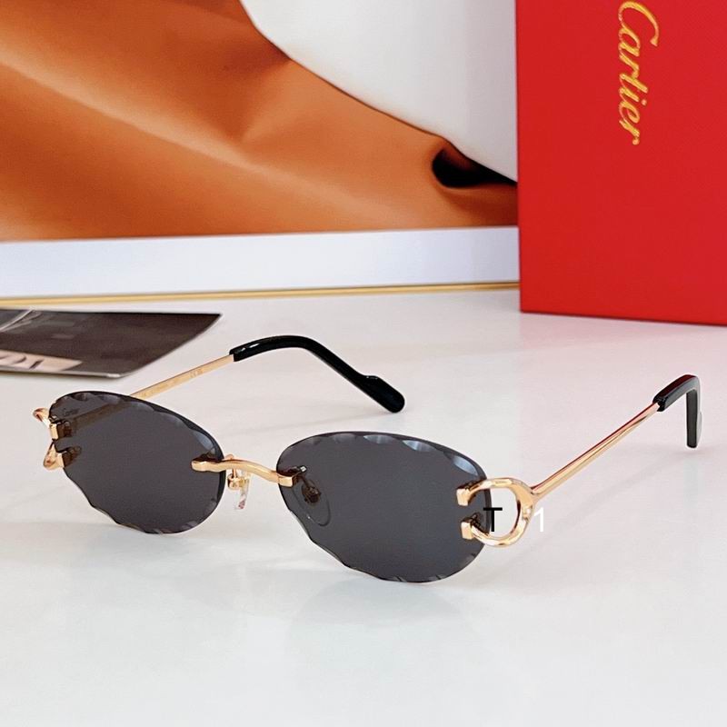 Cartier CT0599S 55 17-142 a