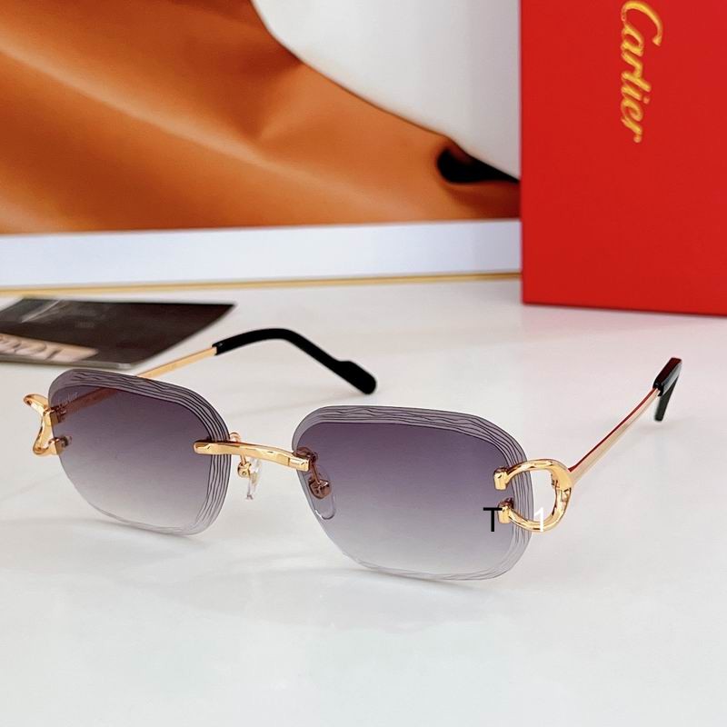 Cartier CT0733S 58 17-145 a