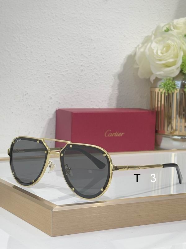 Cartier CT0195S 60 17-145 c