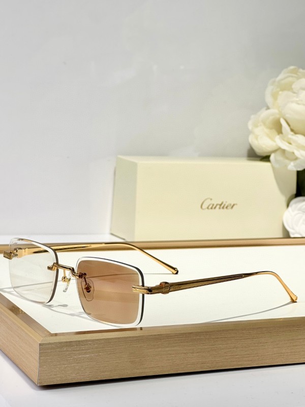 Cartier Glasses 08smh127