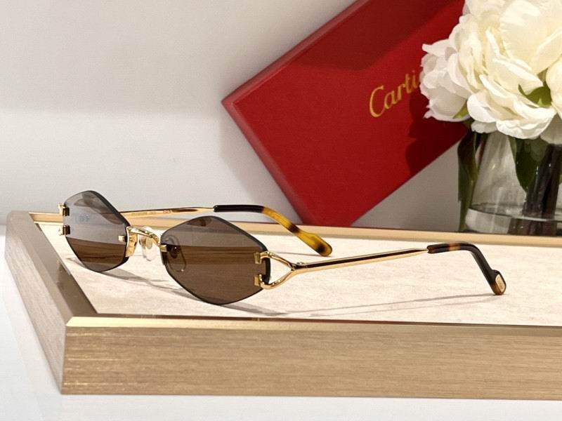 Cartier Glasses 08smh133