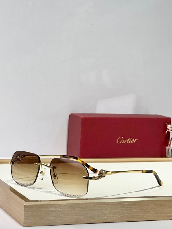 Cartier Glasses 08smh175
