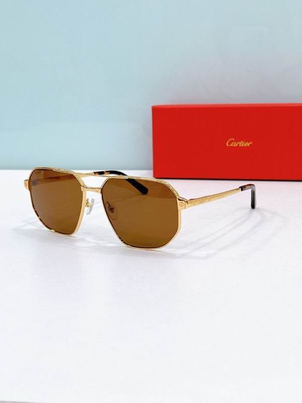 Cartier Glasses 08smh195