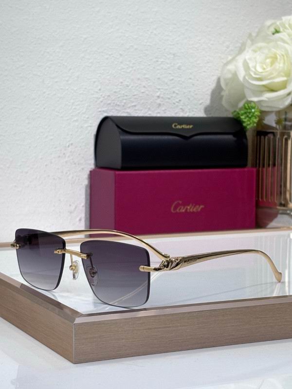 Cartier Glasses 08smh204