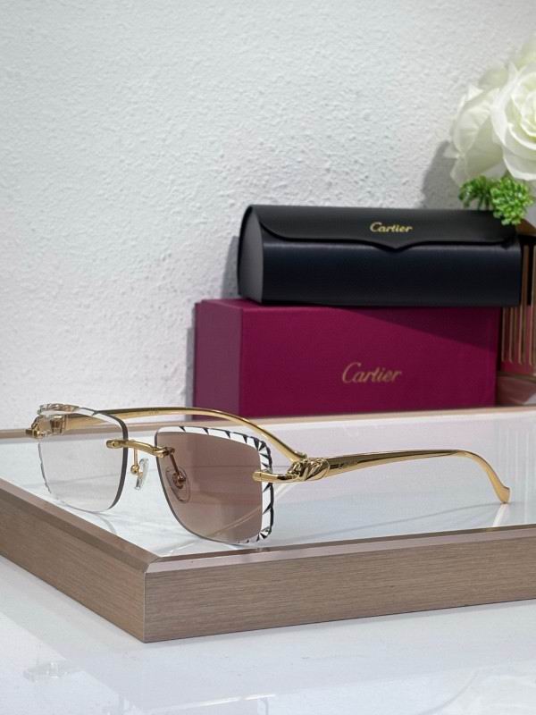 Cartier Glasses 08smh206
