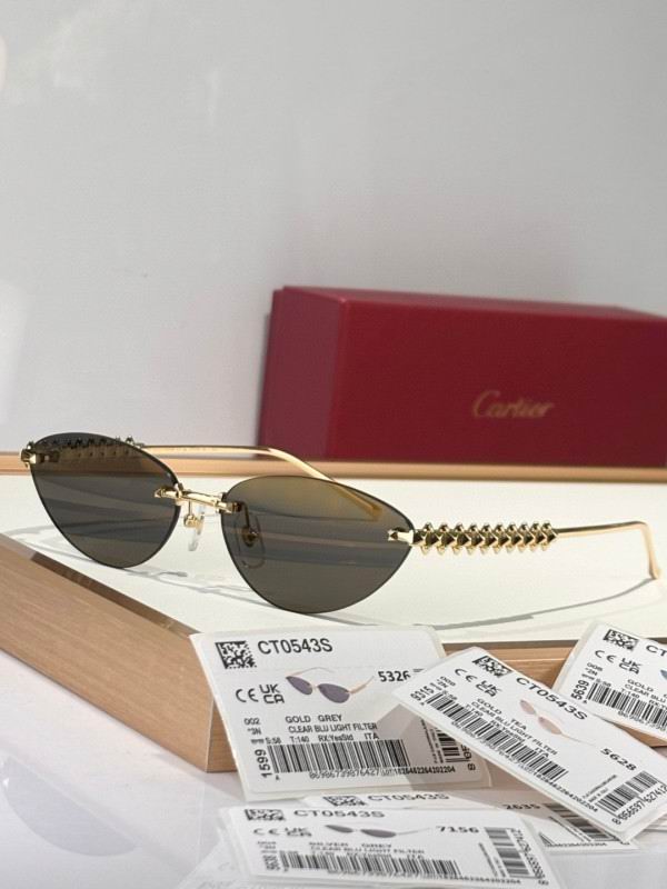 Cartier Glasses 08smh252