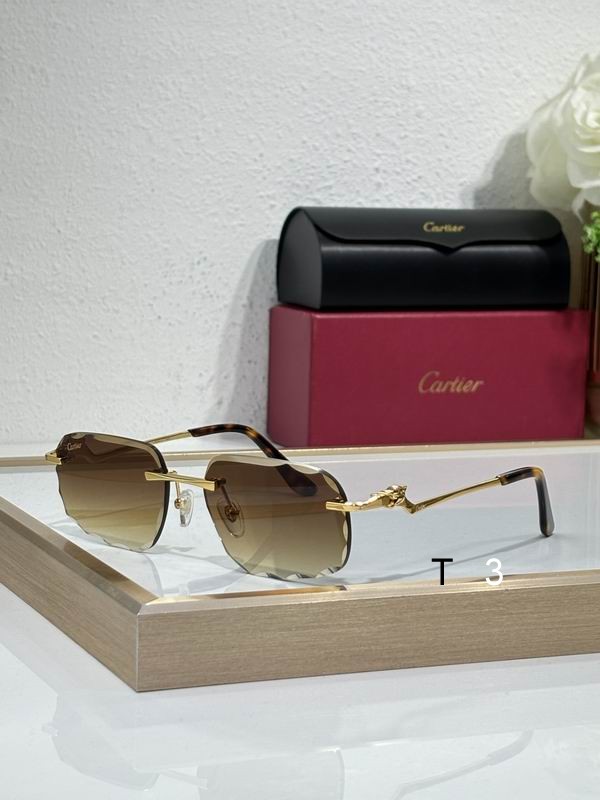 Cartier CT0120 57 17-140 c