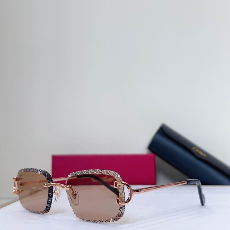 Cartier CT0696 g
