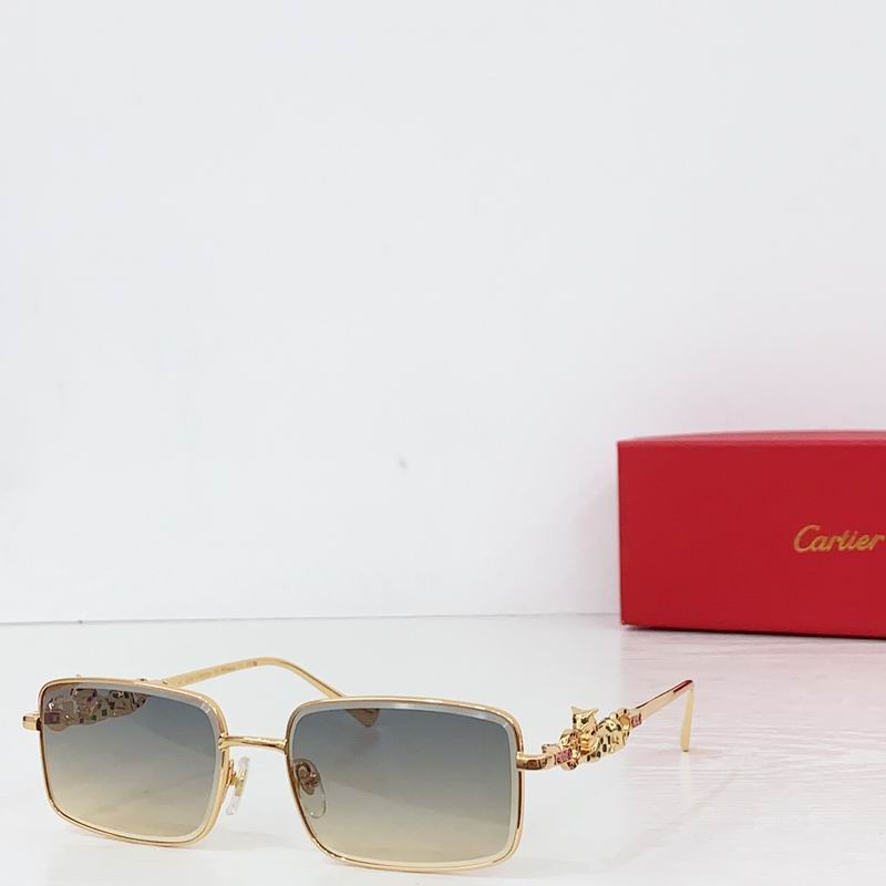 Cartier CT08224 56 17 143 b