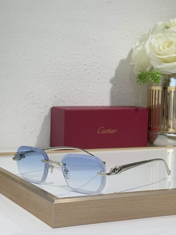 Cartier Glasses smr345