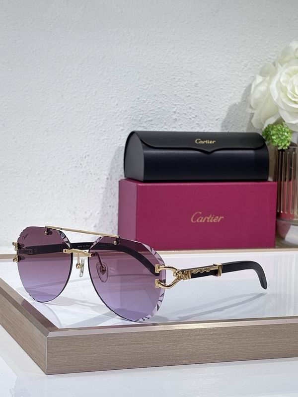Cartier Glasses smr369