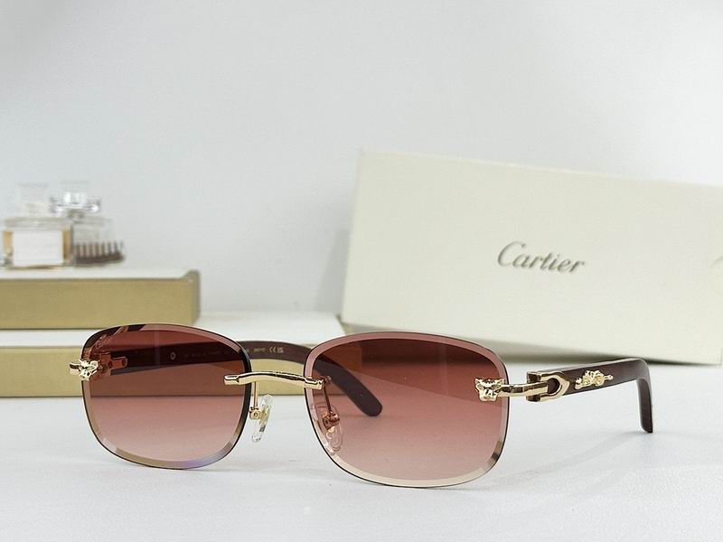 Cartier Glasses smr454