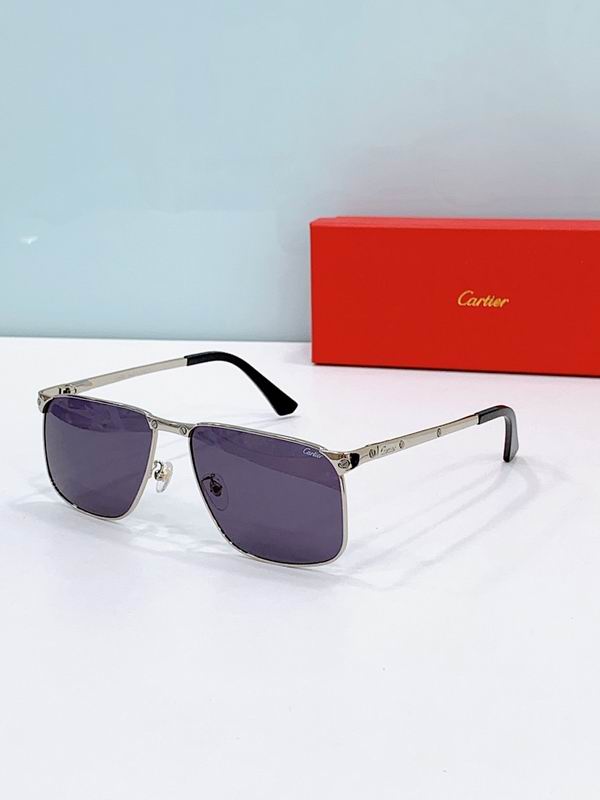 Cartier Glasses smr458