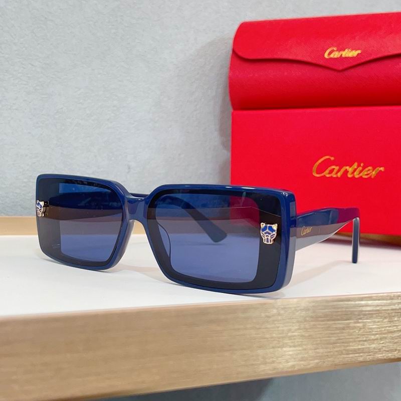 Cartier Glasses smr491