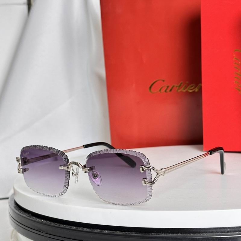 Cartier Glasses smr508