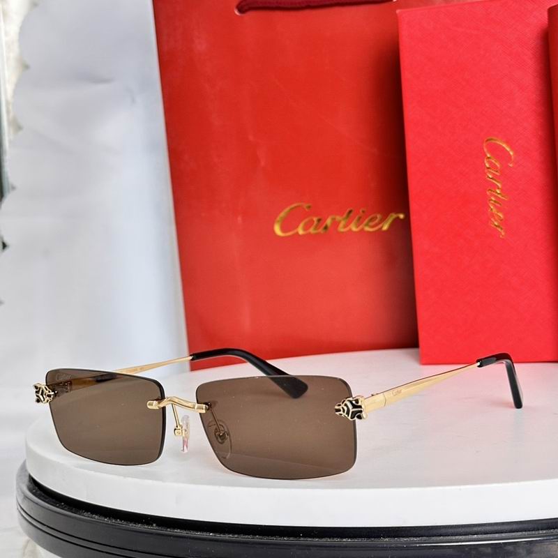 Cartier Glasses smr573