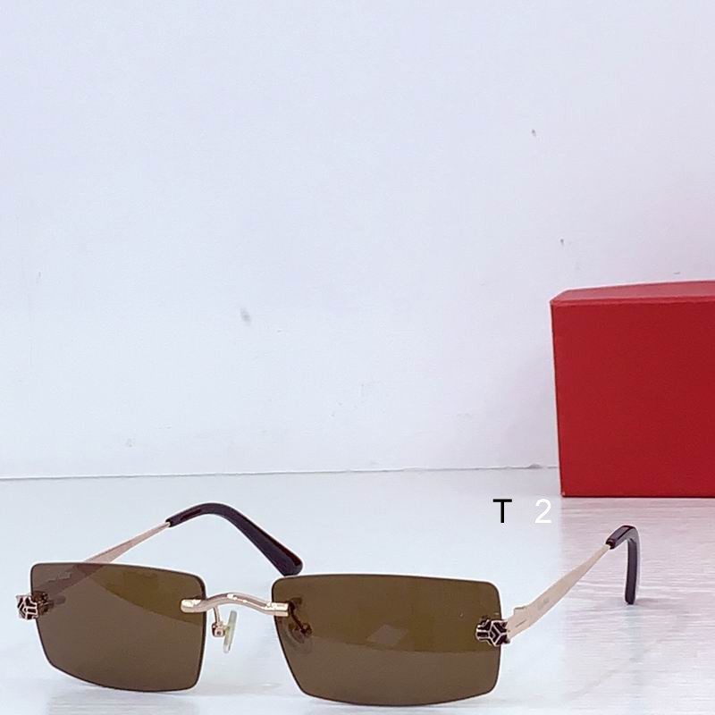Cartier CT0599 145 b (2)