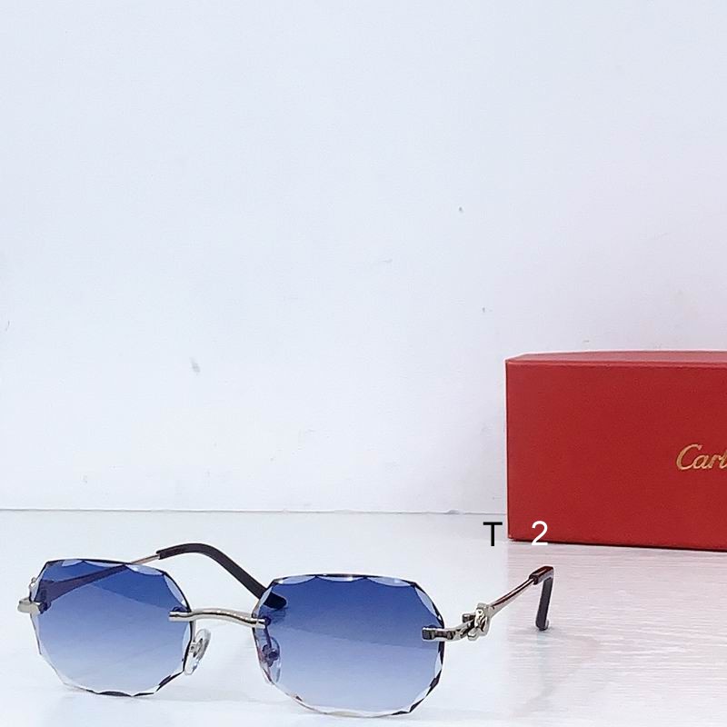 Cartier CT0679S 135 b