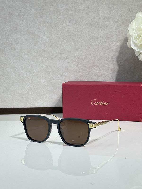 Cartier Glasses smr218