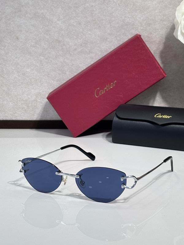 Cartier Glasses smr221