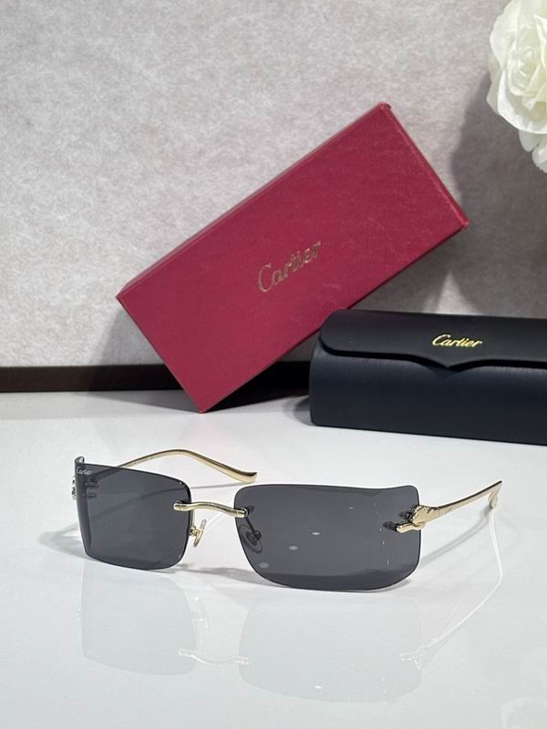 Cartier Glasses smr223