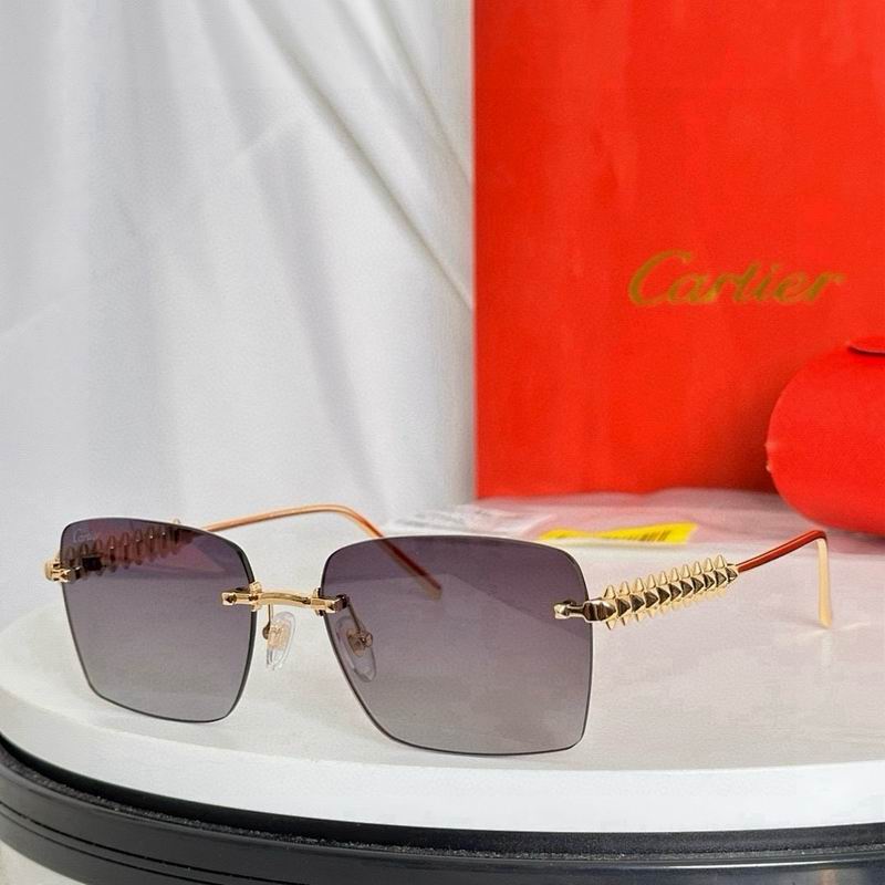 Cartier Glasses smr253