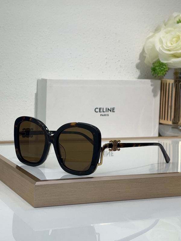 Celine Glasses sms 171