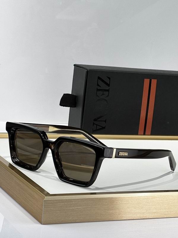 Zegna Glasses sms12