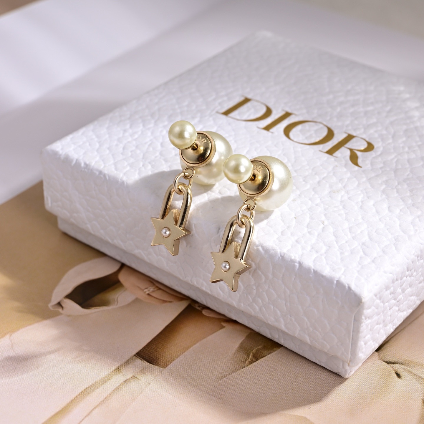 Dior Earring 04yxs304