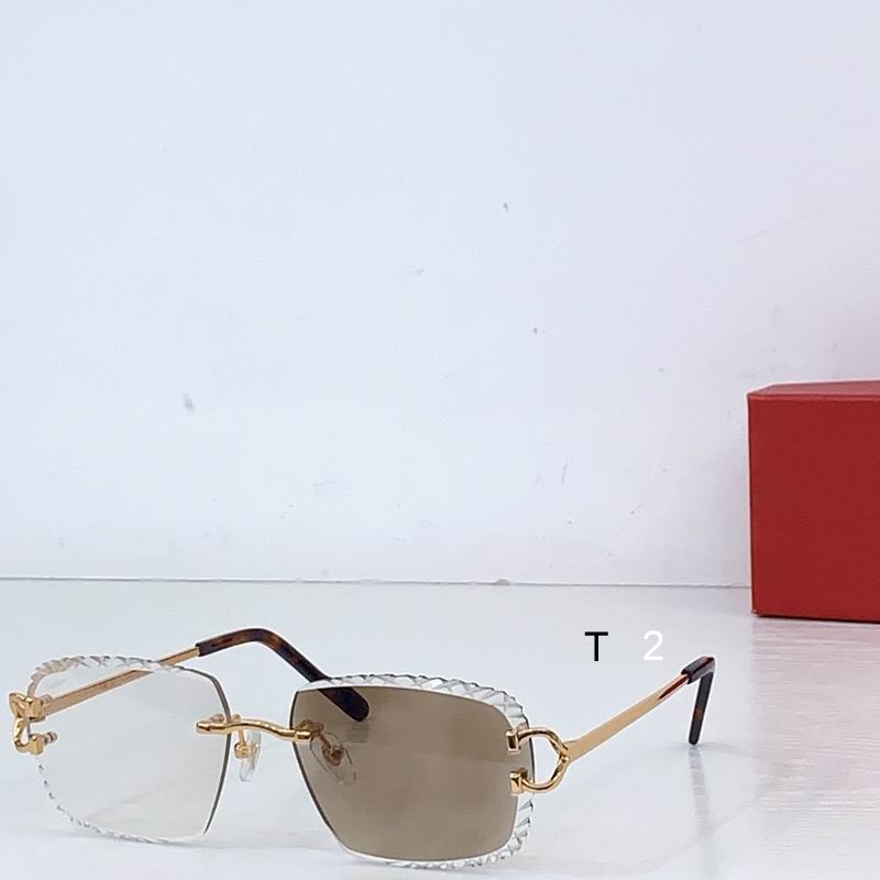 Cartier CT02031 b
