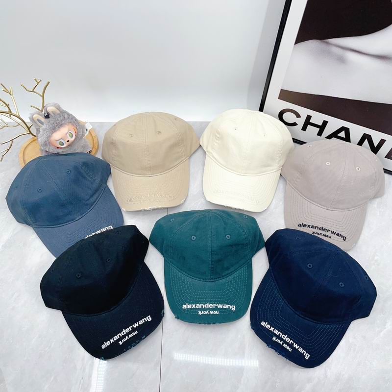 26 Alexander Wang 棒球帽 0830