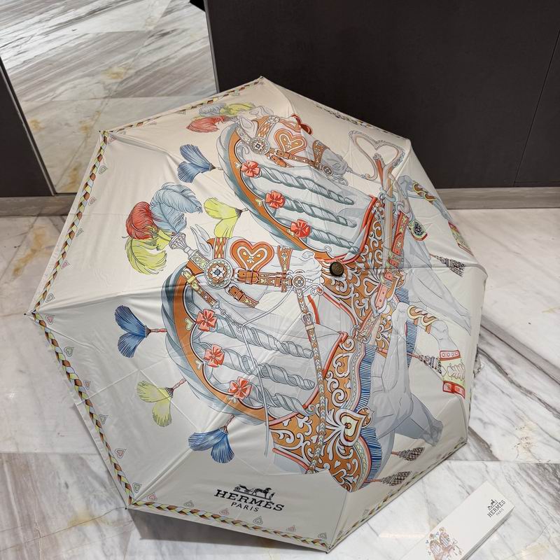 Hermes Umbrella 04