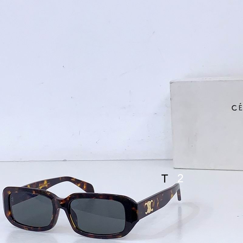 Celine CL4S335 55 17-145 b