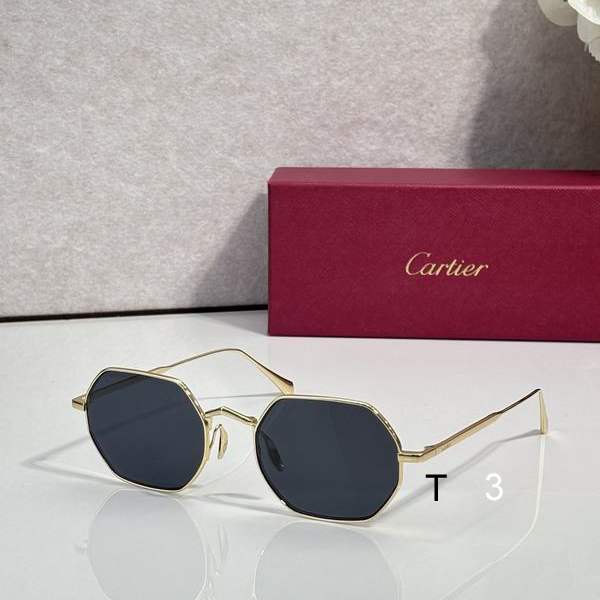 Cartier CT0627S 48 22-145 c