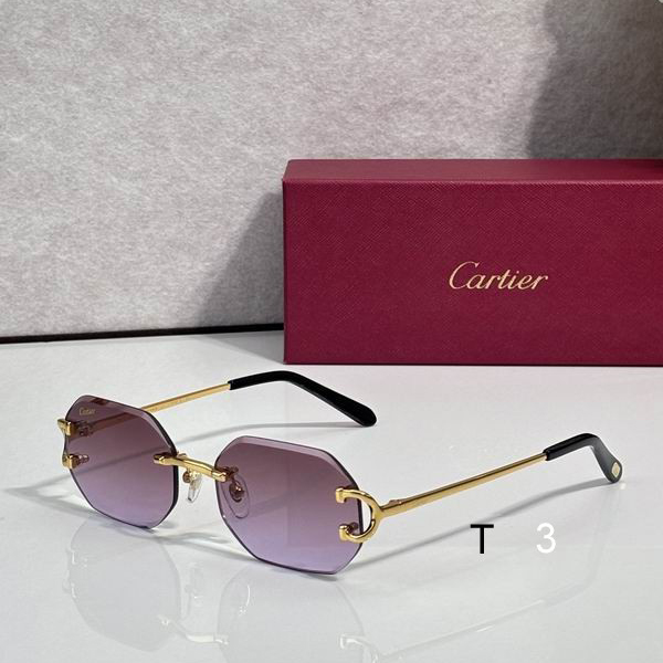 Cartier CT0092 56 17 135 c