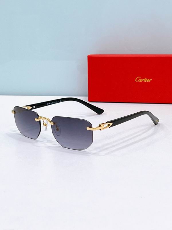 Cartier Glasses sms363