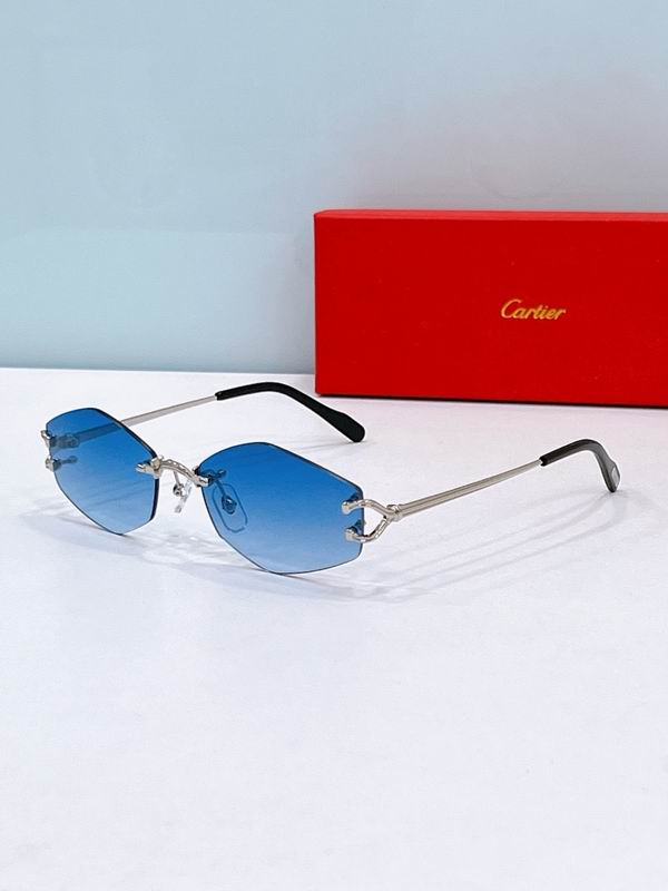 Cartier Glasses sms364