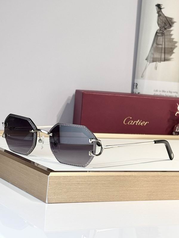 Cartier Glasses sms381