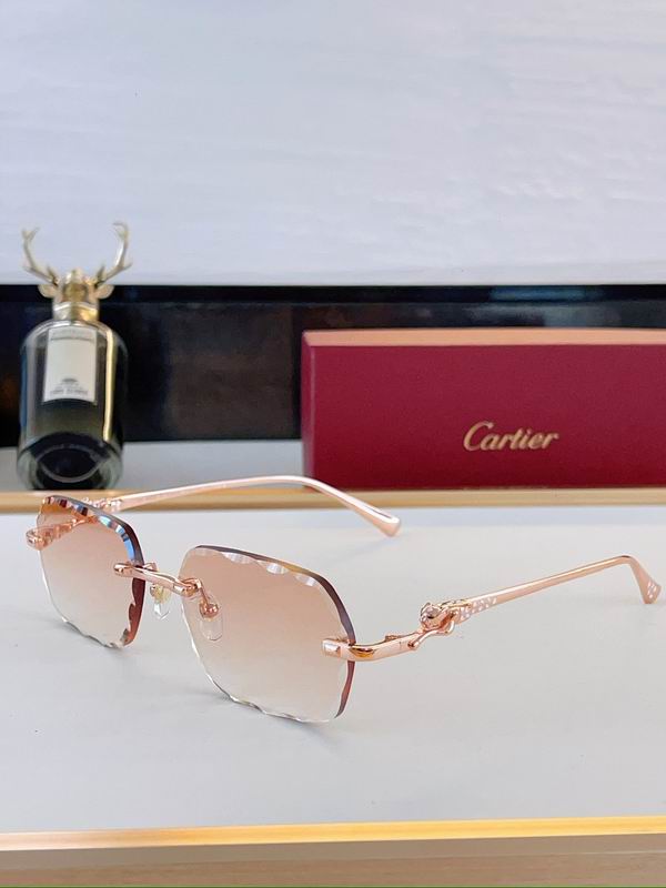 Cartier Glasses sms396