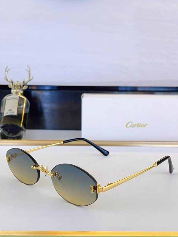 Cartier Glasses sms403