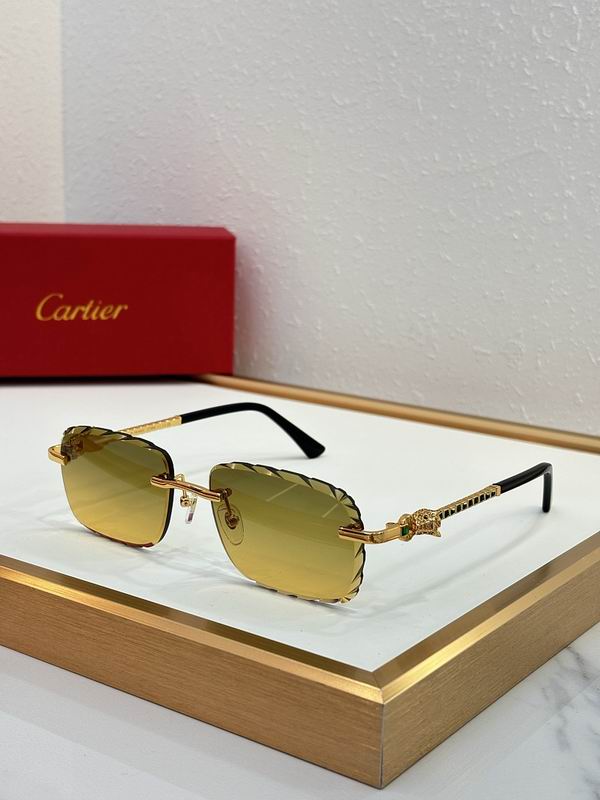 Cartier Glasses sms414