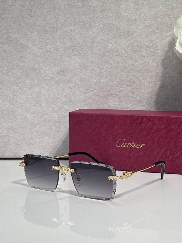 Cartier Glasses sms420