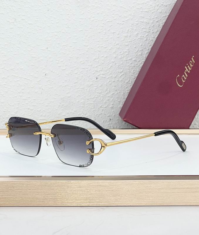 Cartier Glasses sms428