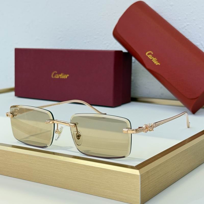 Cartier Glasses sms437