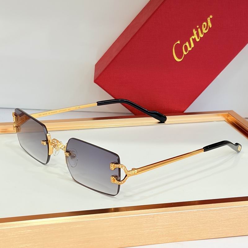 Cartier Glasses sms460
