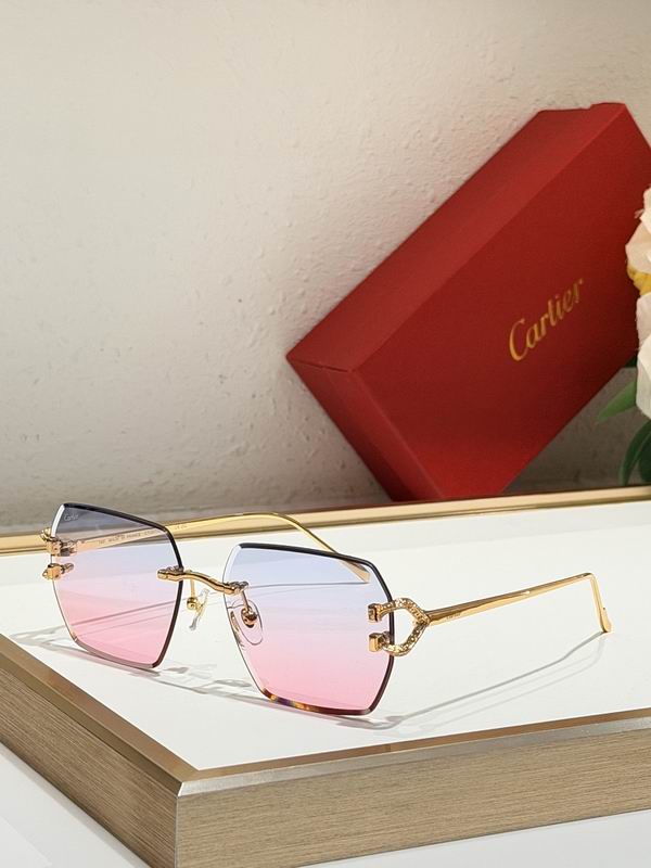 Cartier Glasses sms462