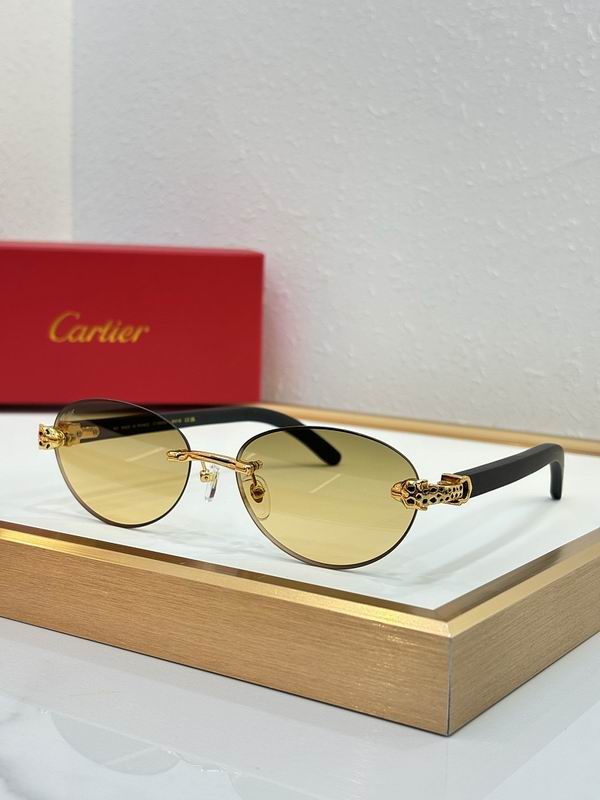 Cartier Glasses sms469