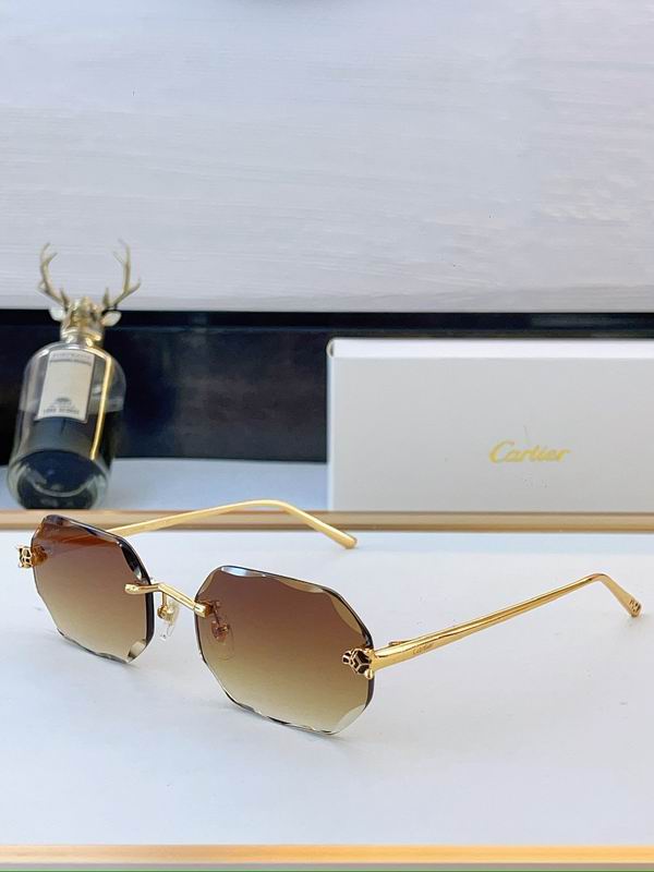 Cartier Glasses sms471